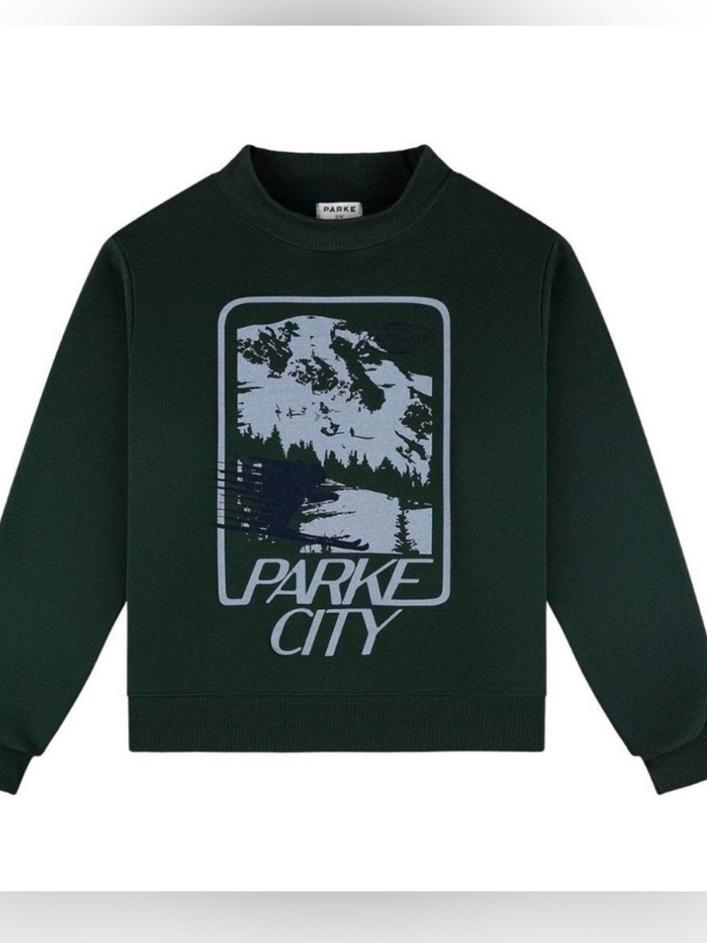 Parke City Graphic Sweatshirt in Deep Forest Green Mockneck - Picture 2 of 2